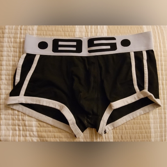 Boxer - Picture 3 of 4